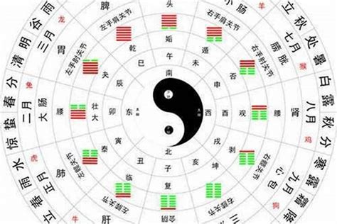 12月五行|12个月的五行属性